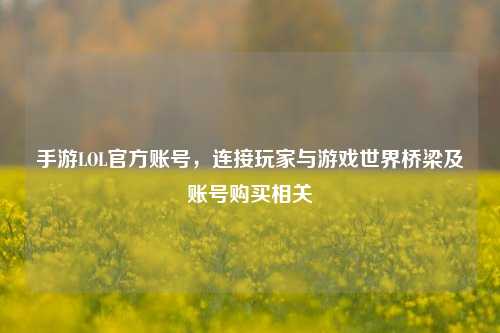 手游LOL官方账号，连接玩家与游戏世界桥梁及账号购买相关