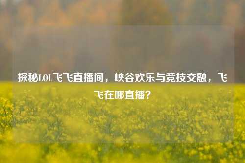 探秘LOL飞飞直播间,峡谷欢乐与竞技交融,飞飞在哪直播?