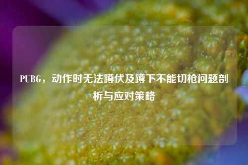 PUBG,动作时无法蹲伏及蹲下不能切枪问题剖析与应对策略