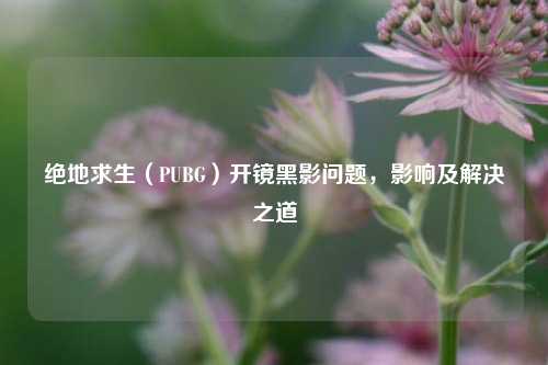 绝地求生(PUBG)开镜黑影问题,影响及解决之道