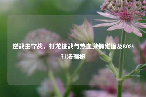 逆战生存战,打龙挑战与热血激情碰撞及BOSS打法揭秘