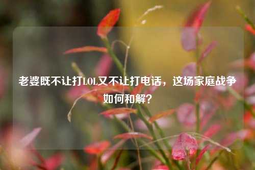 老婆既不让打LOL又不让打电话,这场家庭战争如何和解?