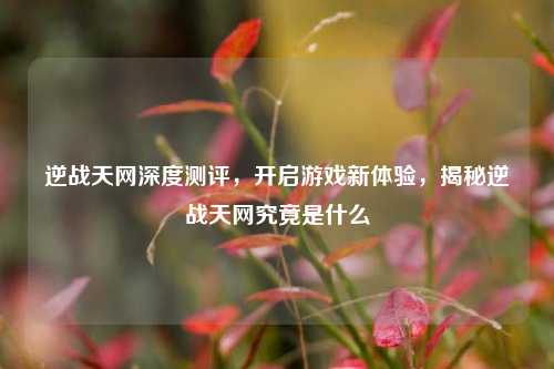 逆战天网深度测评，开启游戏新体验，揭秘逆战天网究竟是什么