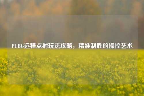PUBG远程点射玩法攻略,精准制胜的操控艺术