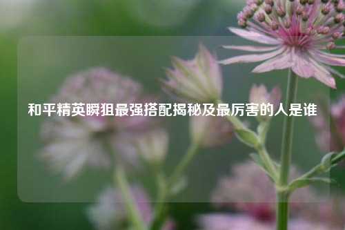 和平精英瞬狙最强搭配揭秘及最厉害的人是谁