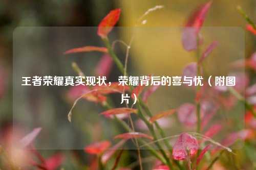 王者荣耀真实现状,荣耀背后的喜与忧(附图片)