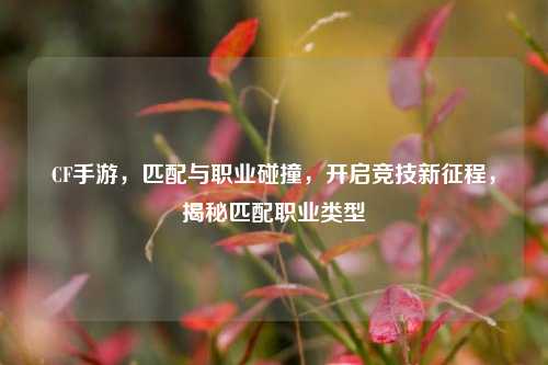CF手游，匹配与职业碰撞，开启竞技新征程，揭秘匹配职业类型