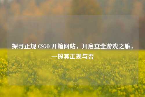 探寻正规 CSGO 开箱网站，开启安全游戏之旅，一探其正规与否