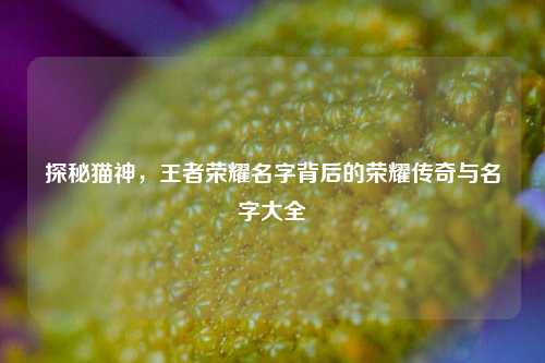 探秘猫神，王者荣耀名字背后的荣耀传奇与名字大全