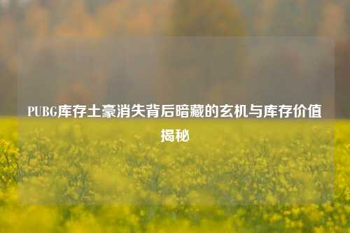 PUBG库存土豪消失背后暗藏的玄机与库存价值揭秘